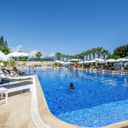 Отель M.c.a Marquis